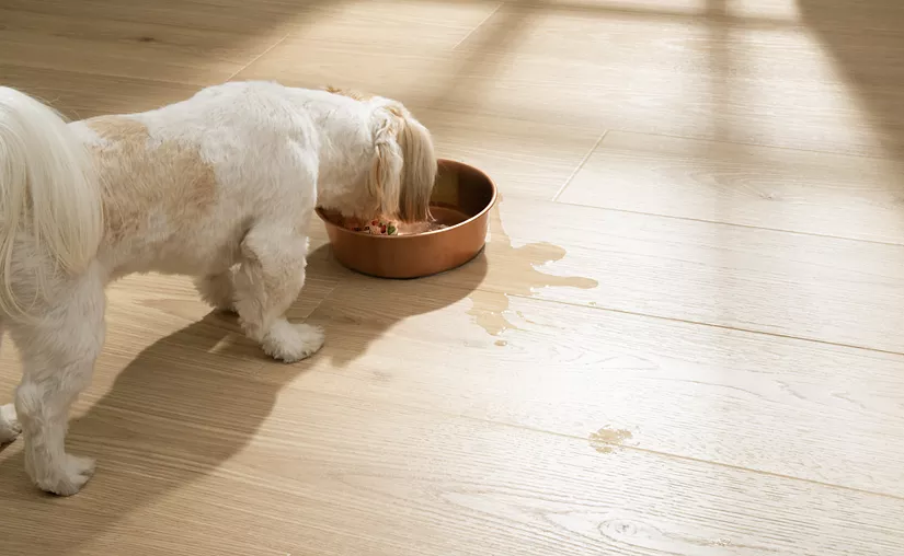 Quick-Step Waterproof Laminate with Lifetime Warranty